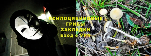 дмт Алексин