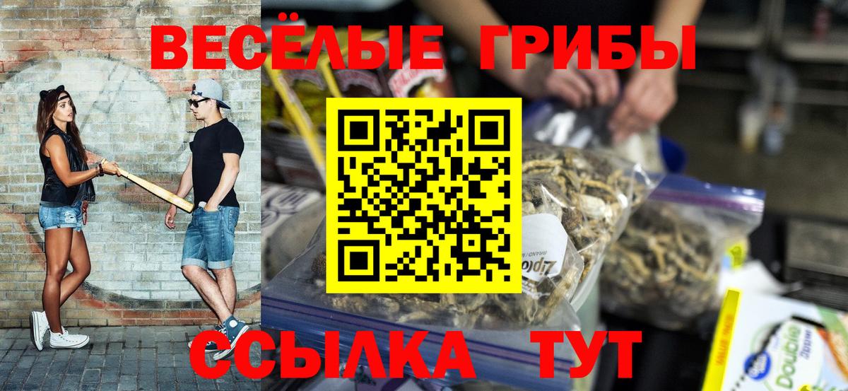 Псилоцибиновые грибы мухоморы  наркошоп  Тамбов  Вход с VPN 